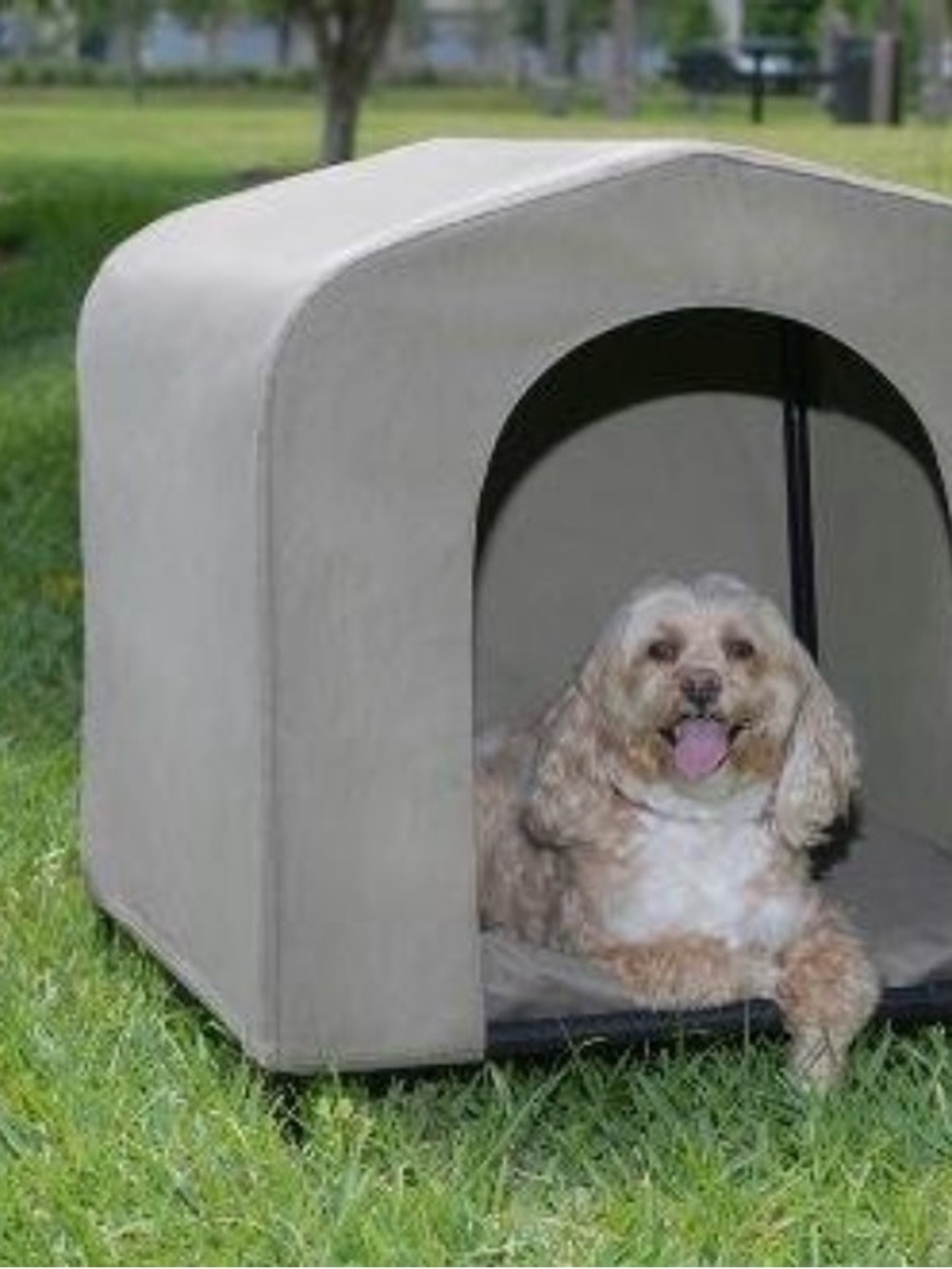Outback Hound Hut medium